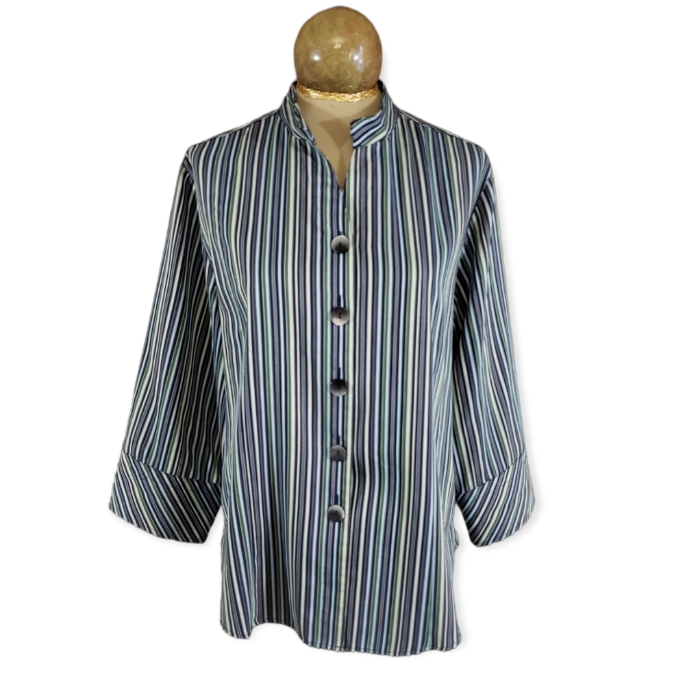 Westbound Wrinkle Free Striped Button Down Blouse